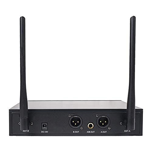 SWM10-U2HH - 2 Handheld Mics UHF