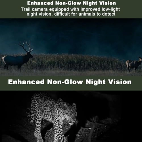 Trail Camera - 4G LTE 14MP