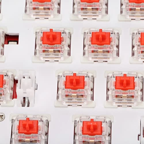 Mechanical Keyboard - Wireless/Wired