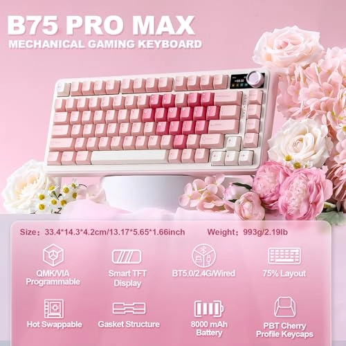 B75 PRO MAX - Wired/Wireless
