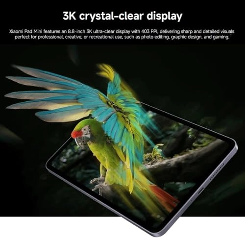 Pad Mini - 256GB 8.8"