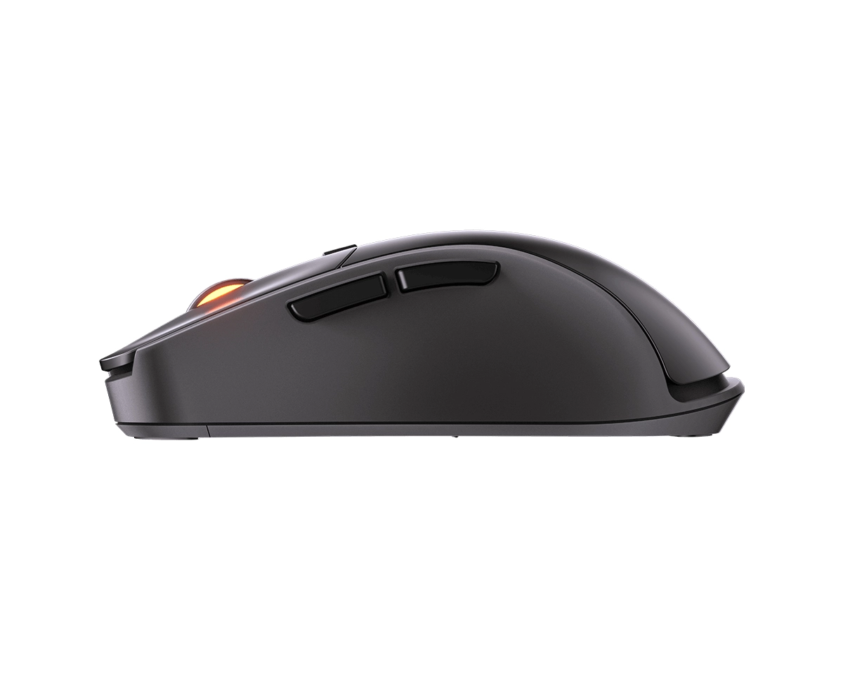 Surpassion RX - Wireless