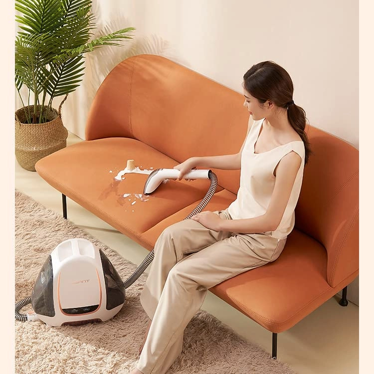 Portable Carpet Cleaner