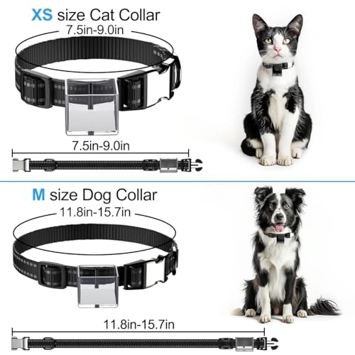 Dog Collar Camera