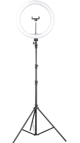 Professional LED Ring Light - 15W Dimmable 2 Color Modes