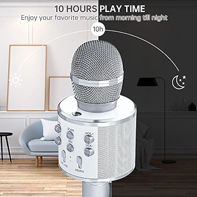 rayihni Karaoke Microphone Pack