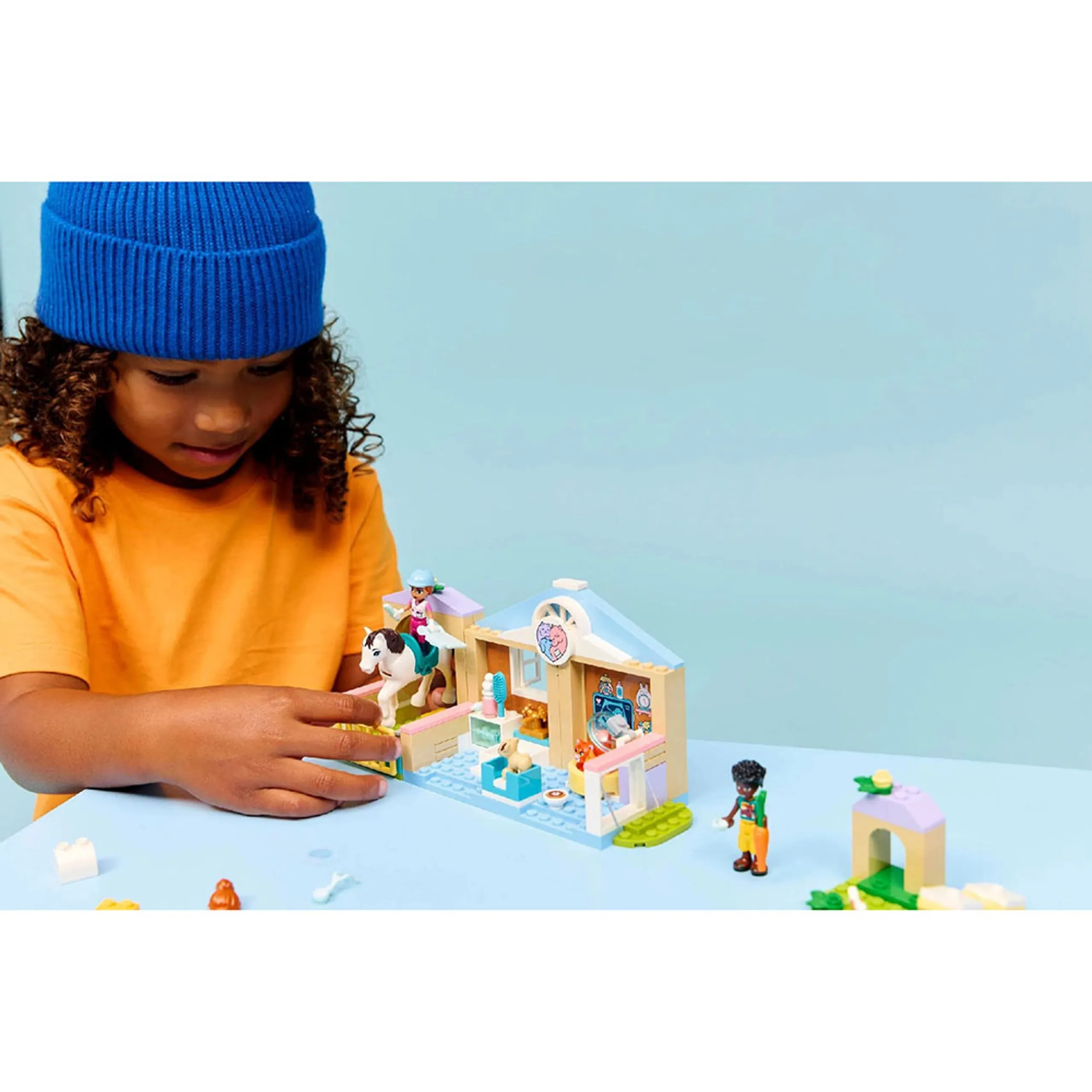 Friends Animal Vet Clinic (42696)