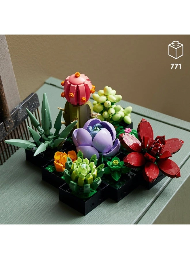 Succulents (10309) - Flowers