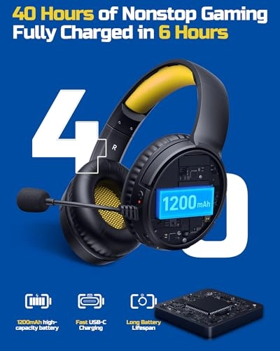 BW02-BT Wireless Headset