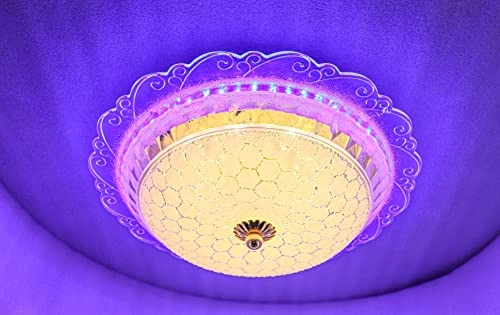 Modern LED Chandelier - 4000K Dimmable