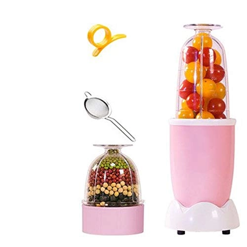 Mini Juicer - 300W 500ml