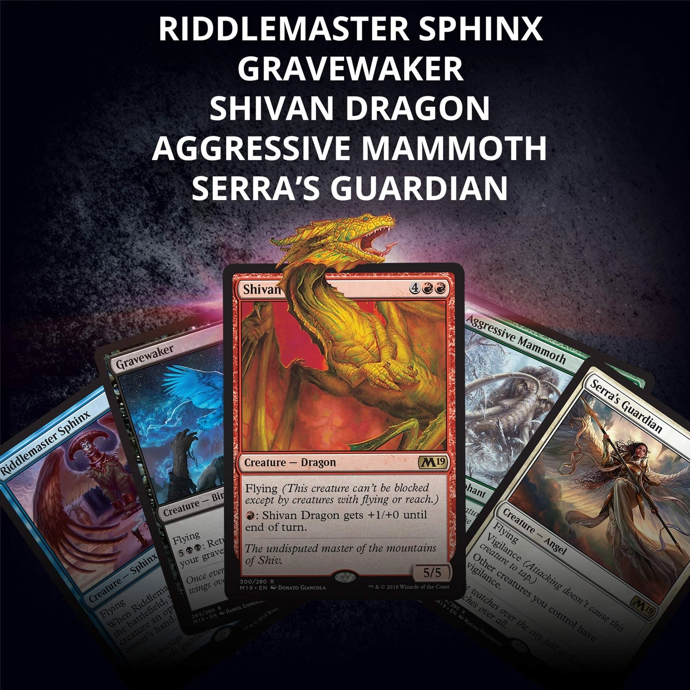 Core Set 2019 (M19) Deck Builders Toolkit + Booster Pack - 4 + Cards - 125pcs + Accessories