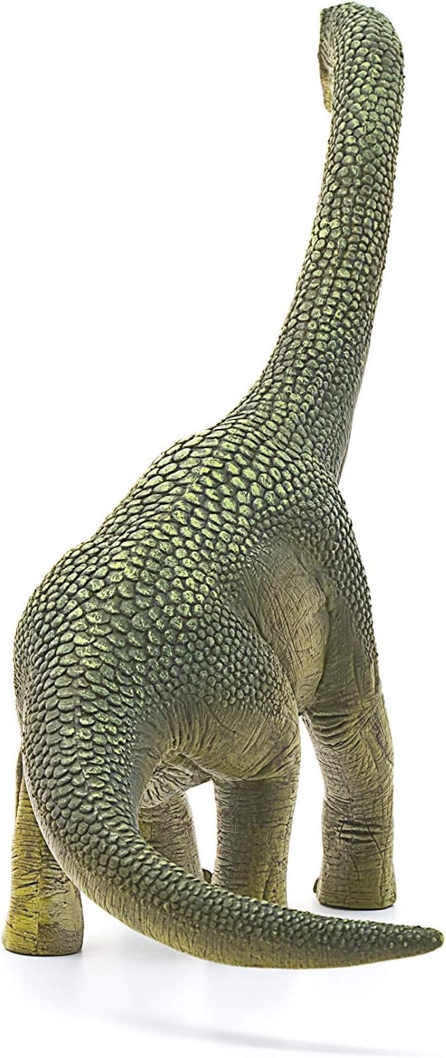 Brachiosaurus