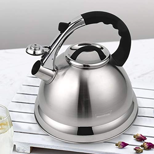 Whistling Water Kettle WJL-23-12230206