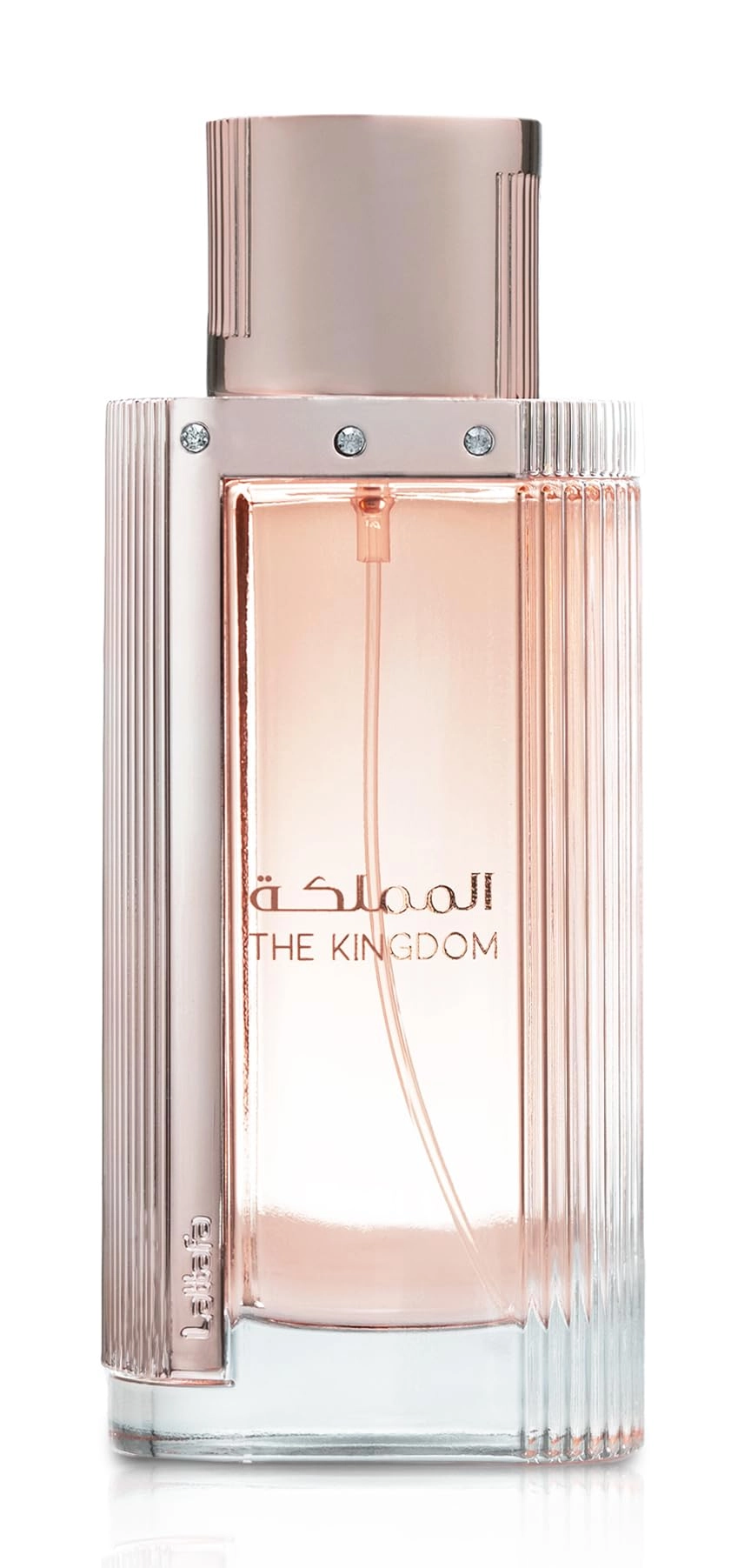 Kingdom Men Eau de Parfum 100 ml