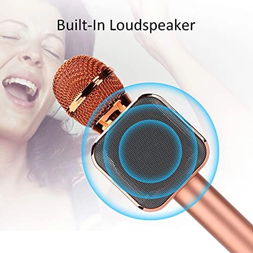 Microphone Speaker - 5W