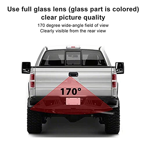 Tailgate Handle Camera - Night vision 756 x 504 pixels