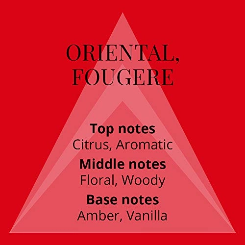 Bondage Homme Eau de Toilette 50 ml