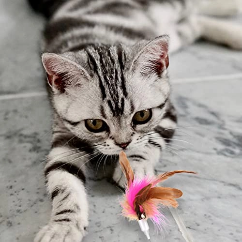 Retractable Cat Toy Wand Bundle