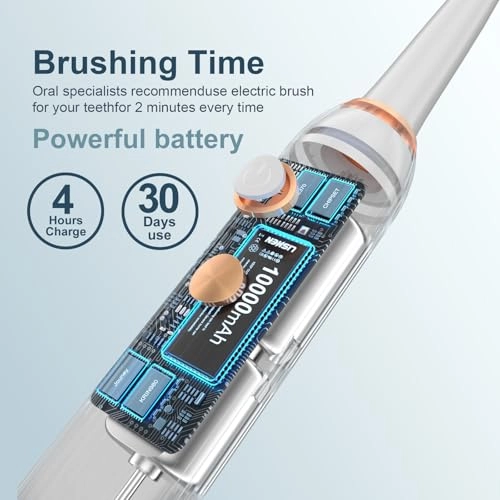 Electric Toothbrush Set - UV Light Drying Holder 8 Brush Heads USB Rechargeable