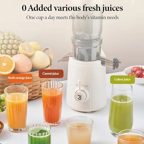 Cold Press Juicer - 250W 1L