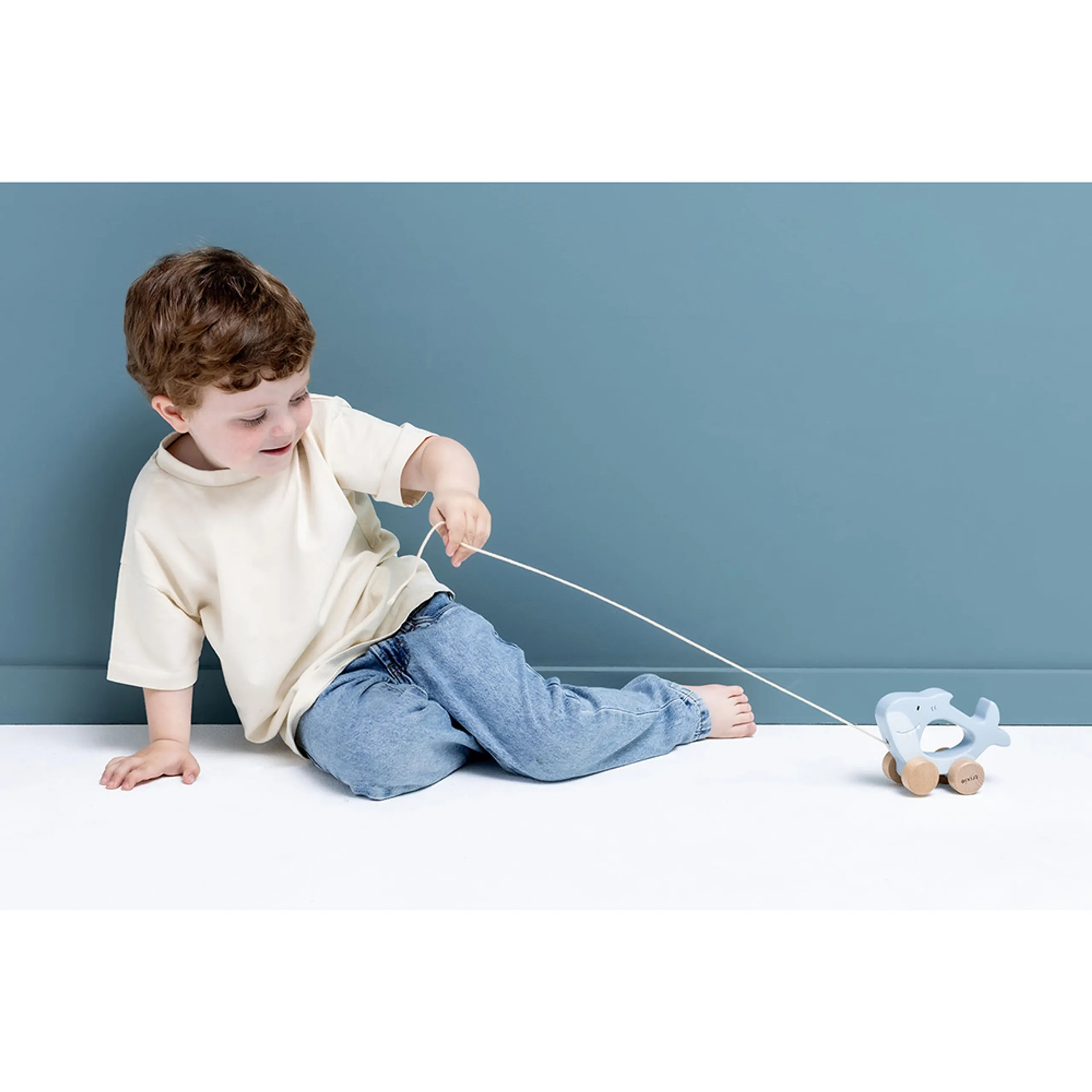 Wooden Pull Along Toy - Mr. Shark
