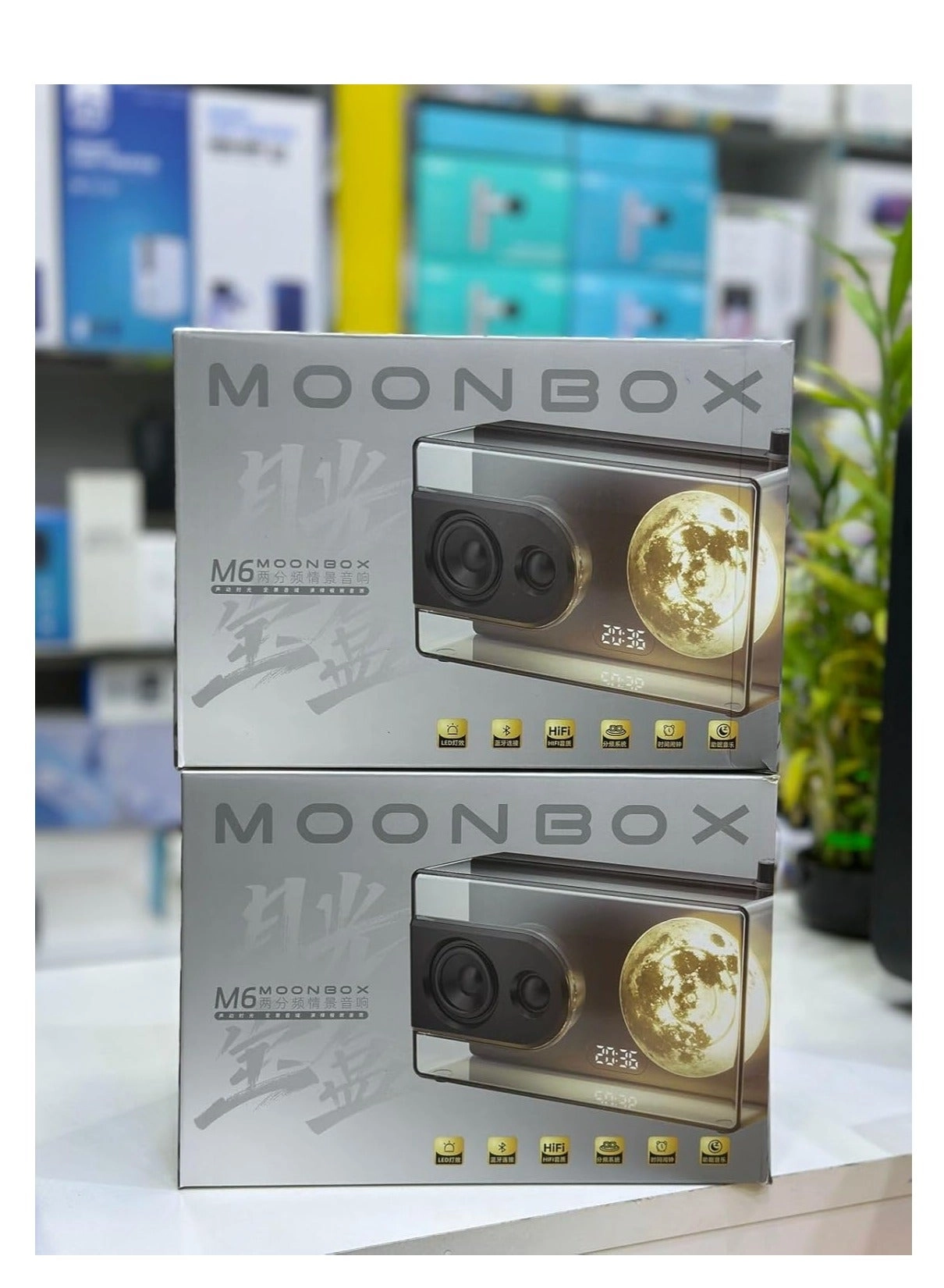 Moonlight Treasure Box