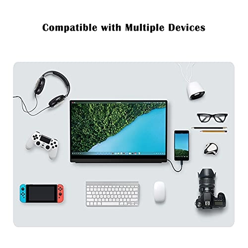 Portable Monitor - FHD 15.6"