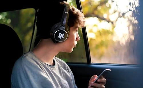 RI-B90HP Wireless Headphone