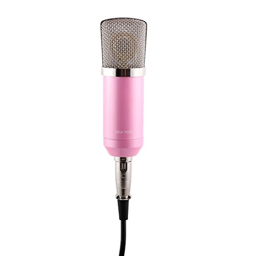 BM-700 3.5mm-Mini-Jack Microphone