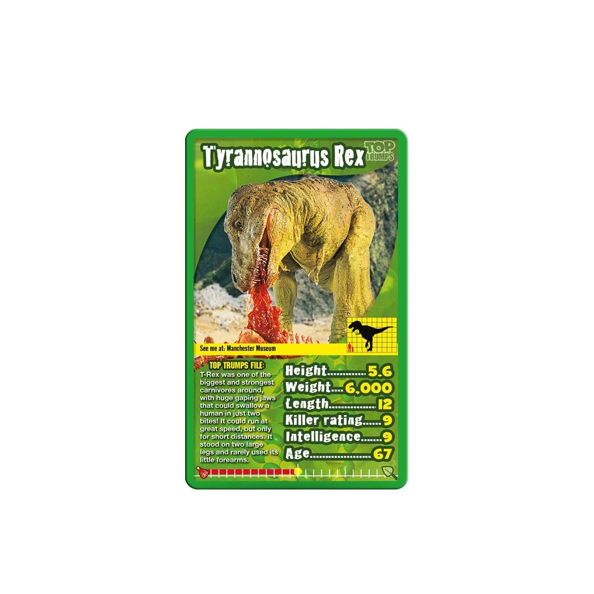 Dinosaurs Card Game Concentration, Dexterity, History, Knowledge, Numeracy - 6 years and up 30 pieces