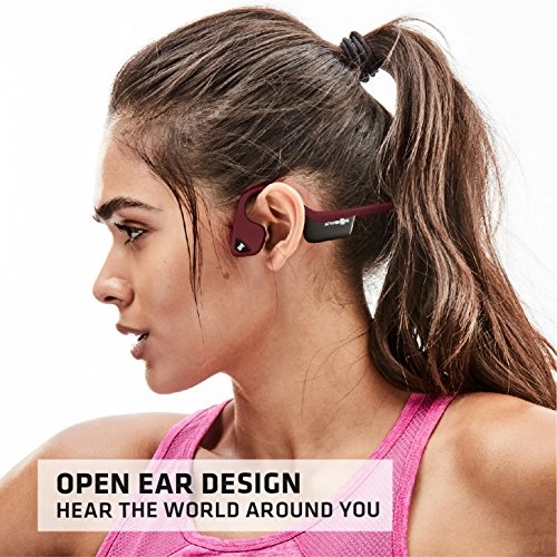 Trekz Air Wireless Headphone