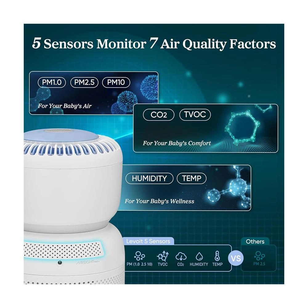 Sprout - White White Noise