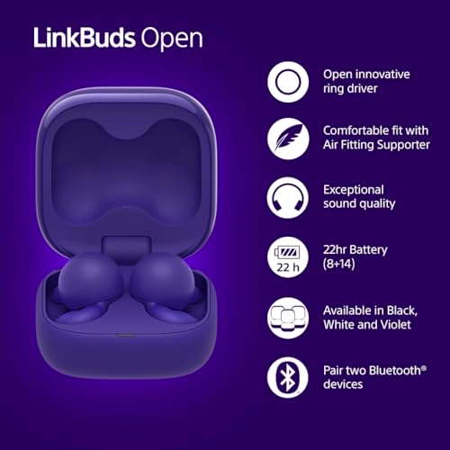 LinkBuds Open Wireless Earbud