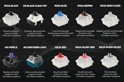 MX2A Experience Box - 10 piece(s)