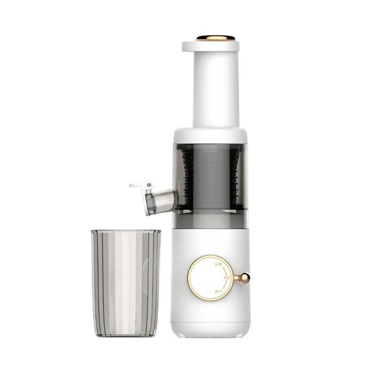 3-in-1 Cold Press Juicer - Stainless Steel Slow Juicing