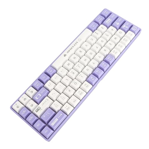 61 Keys Mechanical Keyboard