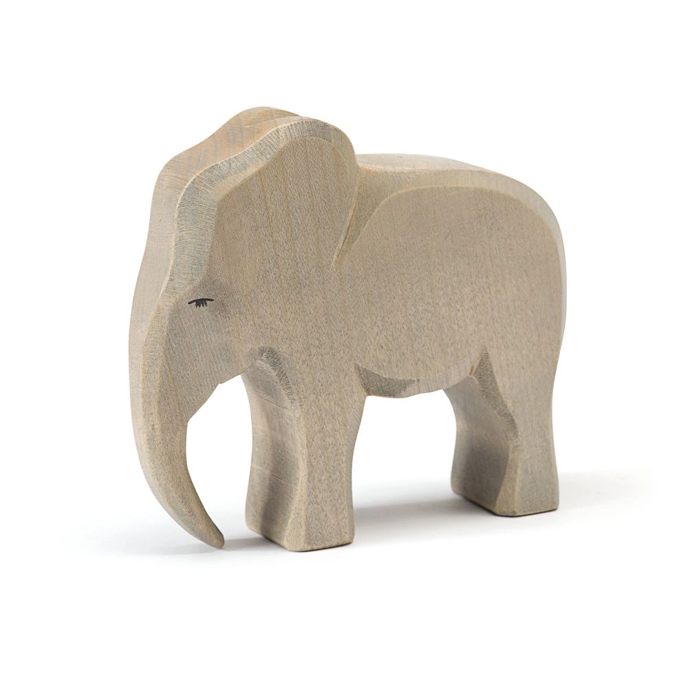 Ostheimer Elephant Male (24401497-20420)