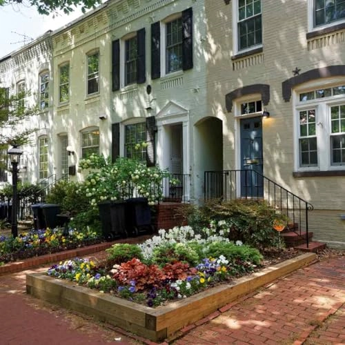 Washington DC Georgetown Puzzle