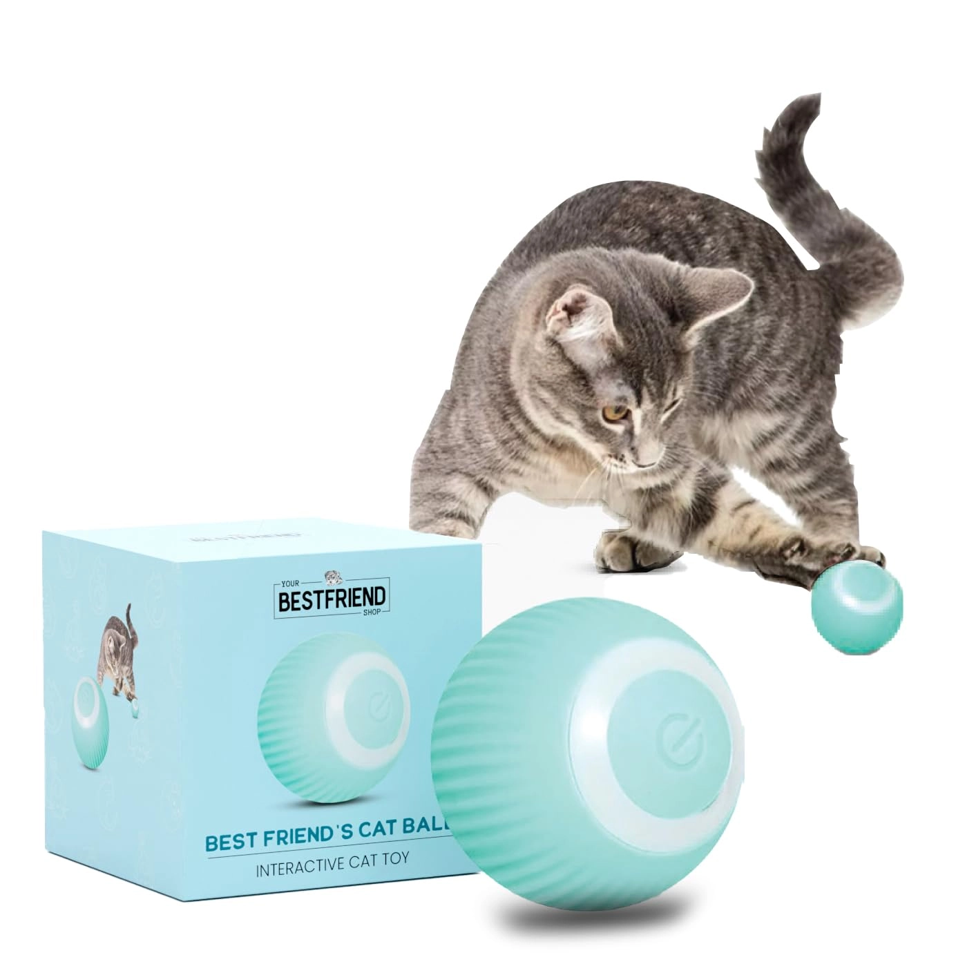 YOUR BESTFRIEND SHOP WLOOM Powerball 2.0 - Kittens and adult cats