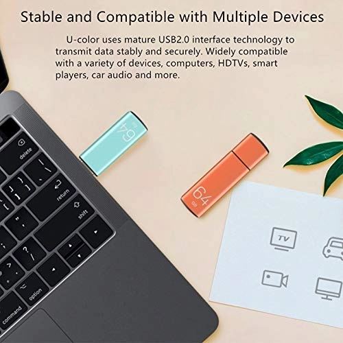 Creative Rose U Disk - USB2.0 64GB