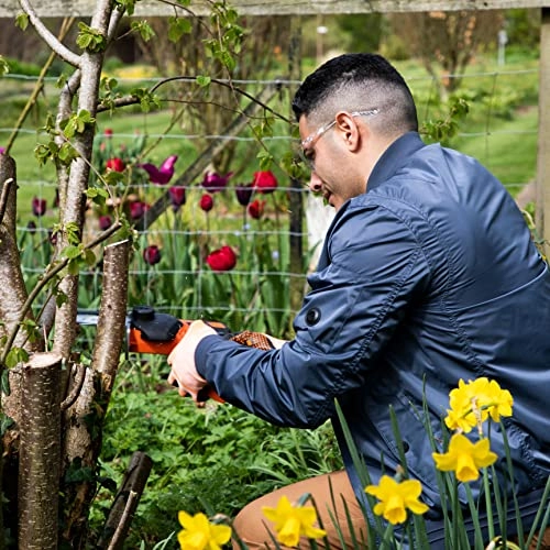 LS C13 - 40 Watt-hours