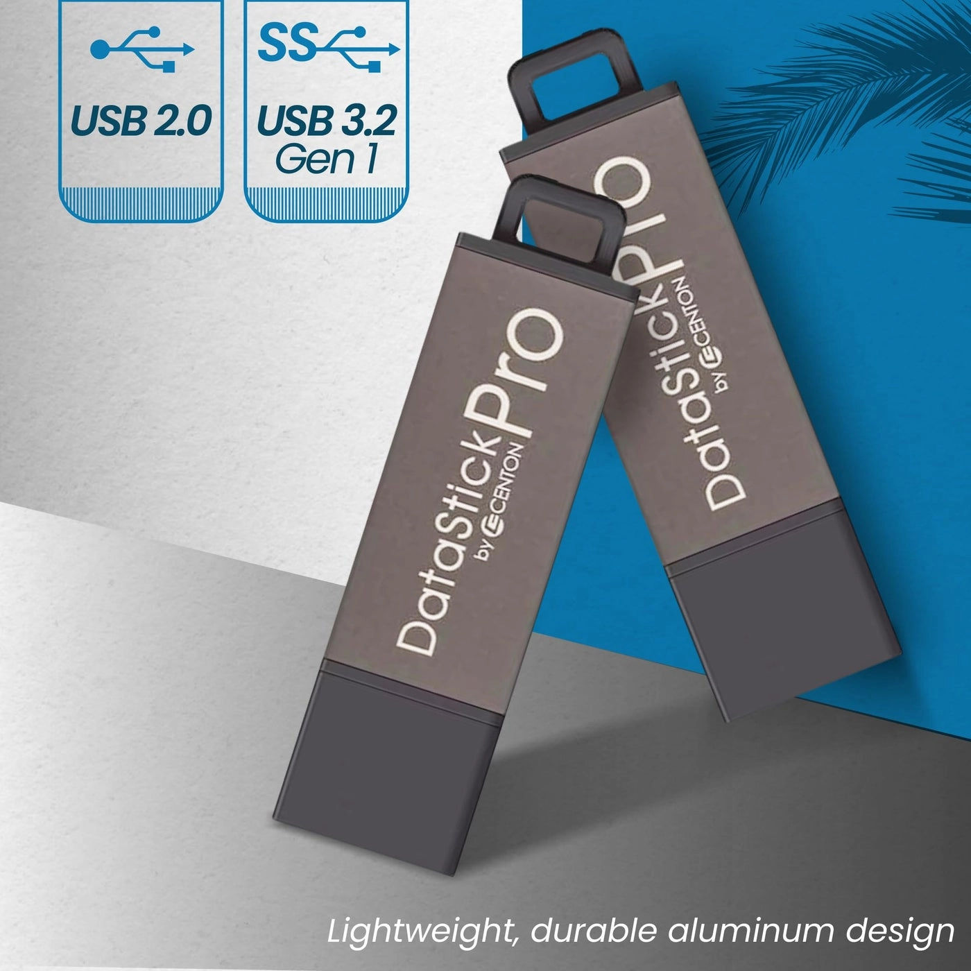 DataStick Pro - USB 20 2 GB Bulk Pack