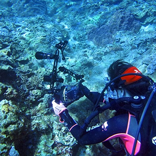 ZLL Dual Balls Arm - 7.0 inch Aluminum Alloy