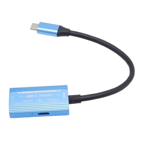 USB C to Glasses and Charging Adapter