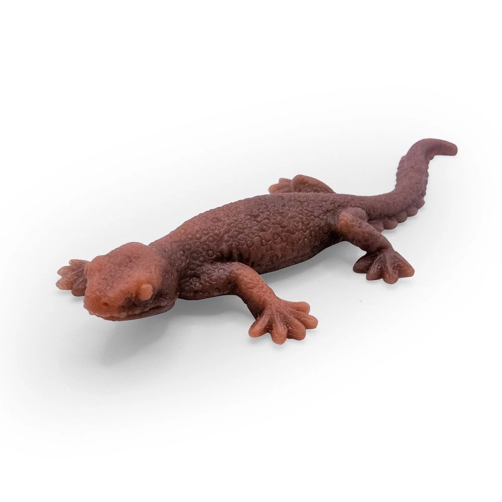 Colour Changing Lizard - Suitable for 3 years and above 1 Pc