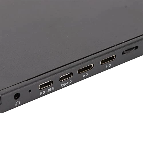 Portable Monitor - 17.3in 1600x900