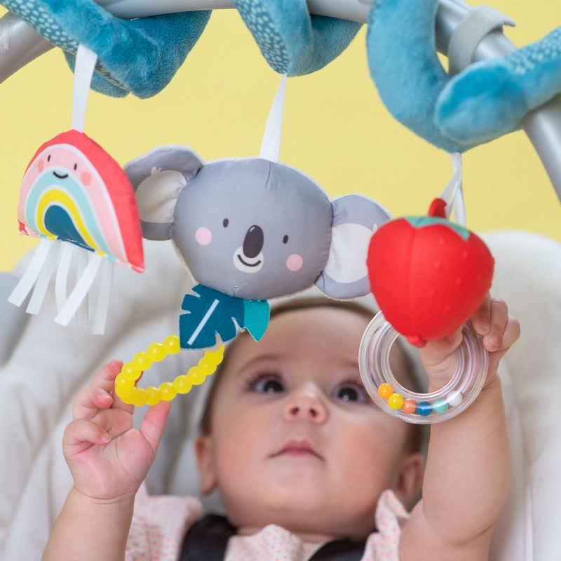 Koala Spiral - 0 months