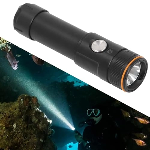 Dive Flashlight