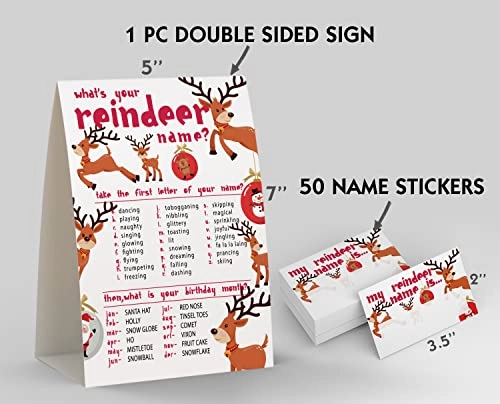 What's Your Reindeer Name - 50 name tag stickers